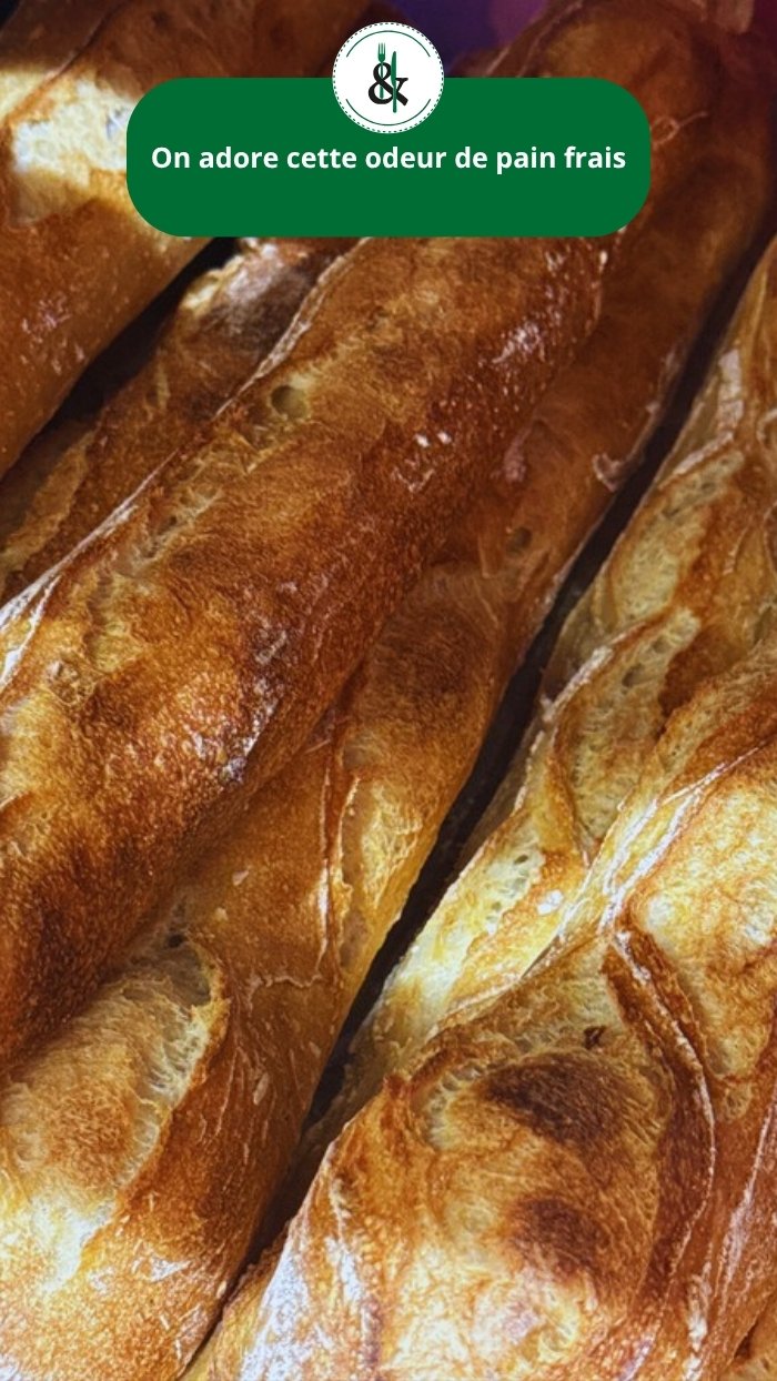 Pain & Cantine, story Instagram, réalisation Sud Up Studio